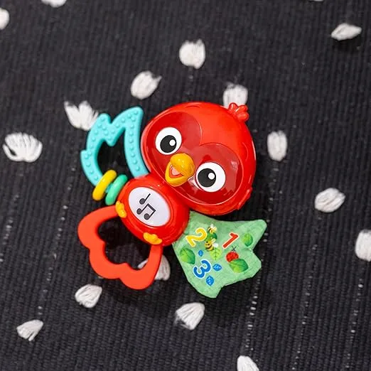Baby Einstein Roxys Bright Flight Musical Toy, Multisensory, Ages 3 Months and Up