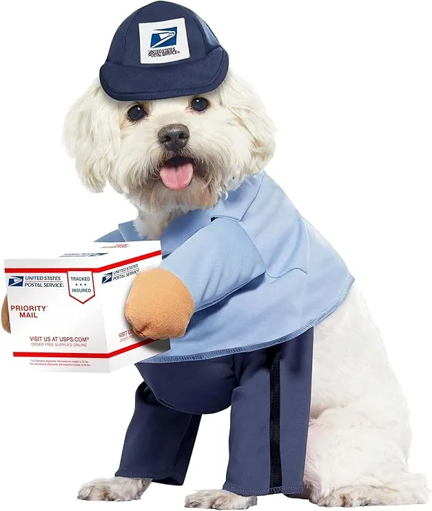 California Costumes Dog Mail Carrier Costume USPS, Large