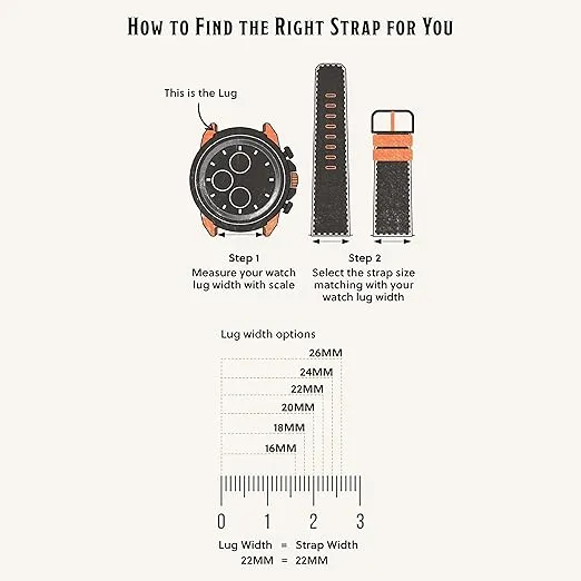 Fossil Watch Band for Apple Watch, Band for 38/40/41mm Apple Watch - Straps for Apple Watch Series 8/7/6/5/4/3/2/1/SE