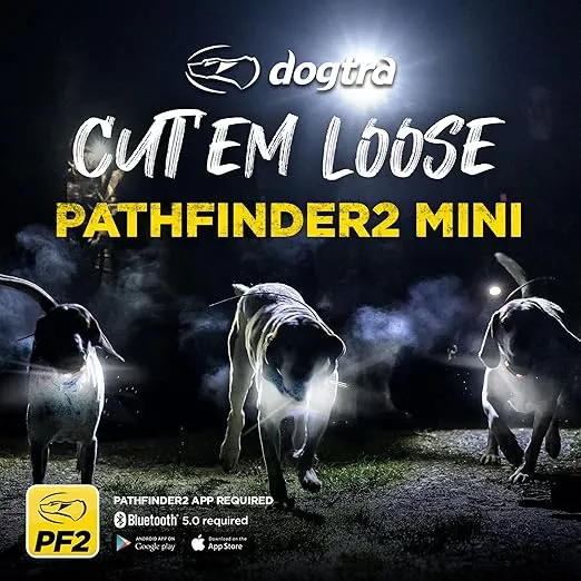 Dogtra Pathfinder 2 Mini GPS Dog Tracker e Collar 4 Mile Long Range LED Light No Monthly Fees Free App Waterproof Smartwatch Control Based Real Time Tracking Multiple Dogs Smartphone Required
