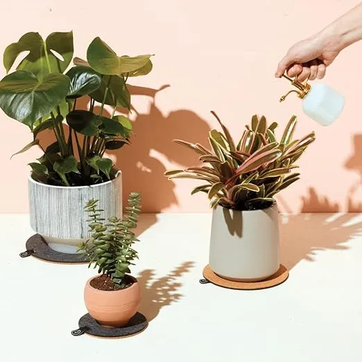 Modern Sprout White Glass and Brass Plant Mister, Spray Bottles for Indoor Plants, Seed Starting, Indoor Plant Care Accessory, Aesthetic Plant Mister, 8oz, Durable Metal Pump, Vintage-Inspired