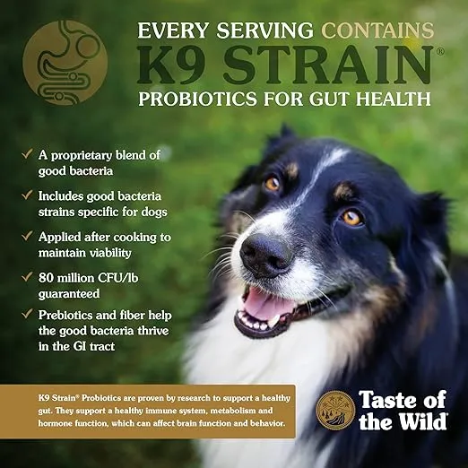 Taste of the Wild with Ancient Grains, Ancient Prairie Canine Recipe with Roasted Bison and Venison Dry Dog Food, Made with High Protein from Real Meat and Guaranteed Nutrients and Probiotics 14lb