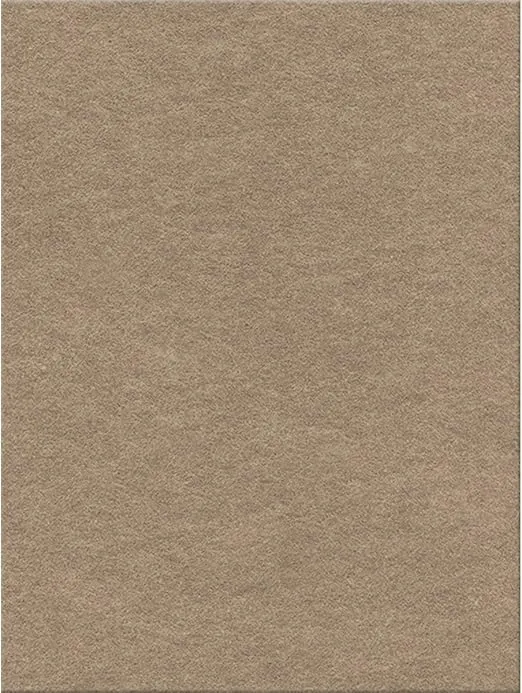 Kunin Eco-Fi Plus Premium Felt (12 Pack), 12" by 18", Sandstone