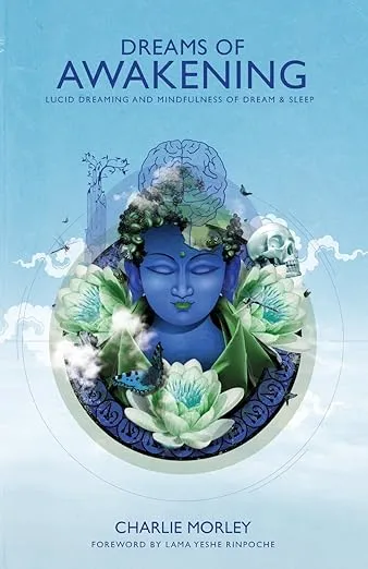 Dreams of Awakening