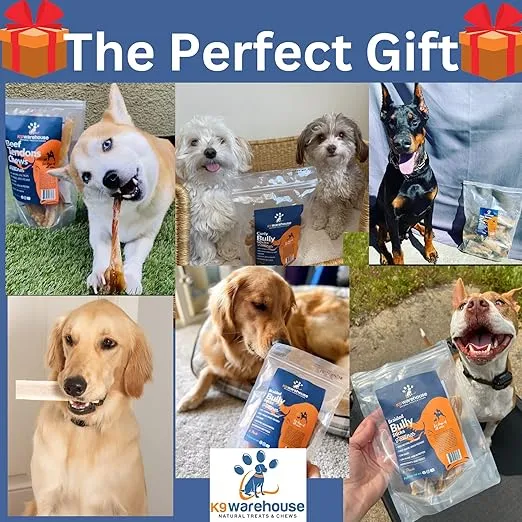 USA Bone Marrow Dog Treats - Long Lasting Dog Bones for Aggressive Chewers - All-Natural Marrow Treats for Dogs - High-Protein Marrow Bones for Dogs Small, Medium, Large & Extra Large