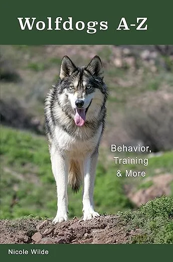 Wolfdogs A-Z: Behavior, Training & More (Wolf Hybrids)