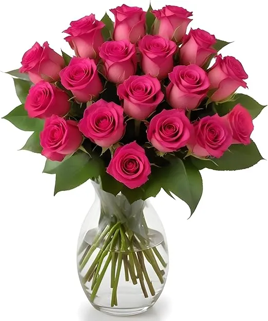 18 Hot Pink Roses Farm Fresh Flower Bouquet with Vase | Designed by Arabella Bouquets | Flowers for Graduation, Birthday, Congratulations