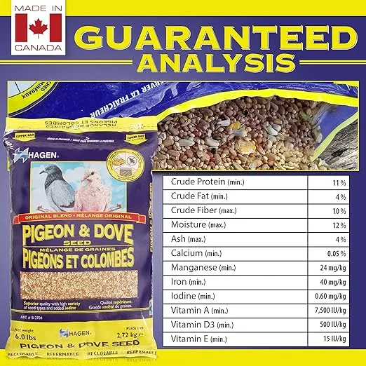Hagen Pigeon & Dove Seed, Nutritionally Complete Bird Food, original version, 6 Pound (Pack of 1) (B2704)