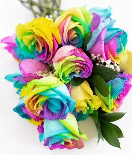 From You Flowers - One Dozen Wild Rainbow Roses with Glass Vase (Fresh Flower Bouquets) Birthday, Anniversary, Get Well, Sympathy, Congratulations, Thank You