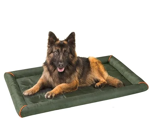 Friends Forever Bolster Dog Crate Mat 48 Inch, Washable Dog Crate Pad for Raised Dog Bed and Dog Crate Bed, Oxford, Nova Oliver Green