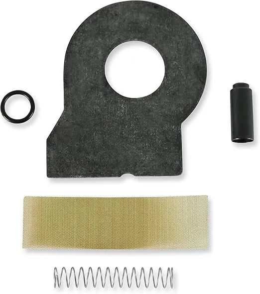 Holley 12-806 Fuel Pump Check Valve Kit