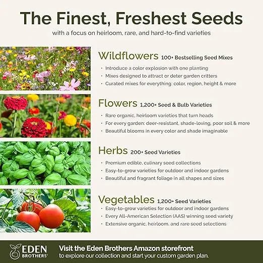 Eden Brothers All Perennial Wildflower Mixed Seeds for Planting, 1/4 lb, 120,000+ Seeds with Lupine, Shasta Daisy | Attracts Pollinators, Plant in Spring or Fall, Zones 3, 4, 5, 6, 7, 8, 9, 10