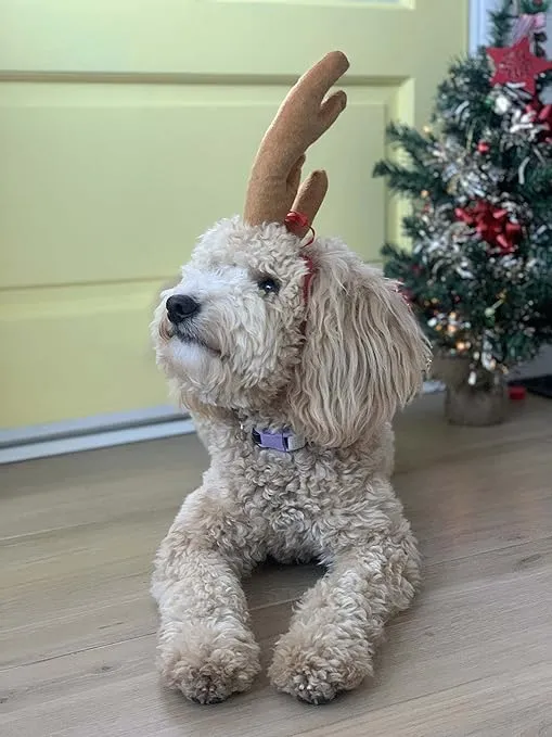 ComfyCamper Reindeer Antler Dog Halloween Costume - Headband Cosplay Christmas Small Medium Large X-Large Puppy Cat, L