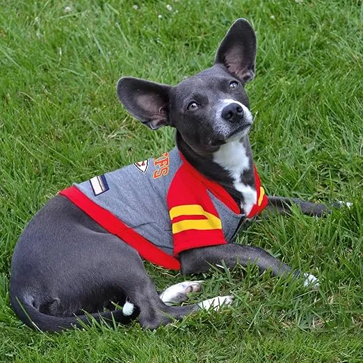 Pets First NFL Kansas City Chiefs Hoodie for Dogs & Cats. | NFL Football Licensed Dog Hoody Tee Shirt, Medium| Sports Hoody T-Shirt for Pets | Licensed Sporty Dog Shirt