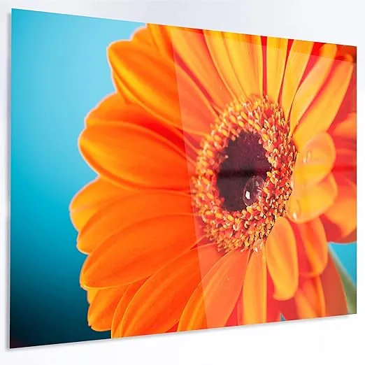 Designart Orange Daisy Gerbera Flower Closeup Metal Wall Art-40x30, 40x30