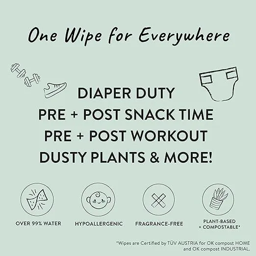 The Honest Company Clean Conscious Unscented Wipes | Over 99% Water, Compostable, Plant-Based, Baby Wipes | Hypoallergenic for Sensitive Skin, EWG Verified | Pattern Play, 576 Count