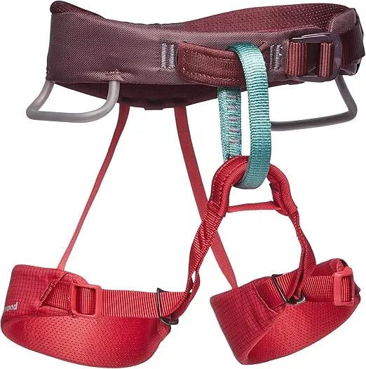 BLACK DIAMOND Kids Momentum Climbing Harness, One Size, Fits Most Children Between 35-110 lbs