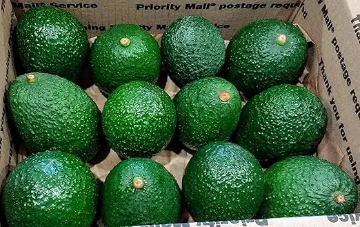 12 Pack Fresh California Hass Avocados (12 Pack)