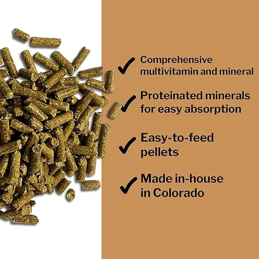 Formula 707 Daily Essentials Equine Supplement, 6 lb Bag – Complete Vitamins and Minerals for Superior Health and Condition in Horses