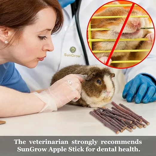SunGrow Apple Sticks, Wood Chew Sticks for Rabbits, Chinchillas, Bunny, Hamster, Squirrel, Guinea Pigs, Small Animals Molar Pet Chew Toys Treat Sticks for Teeth Grinding 100g (3.5 oz)