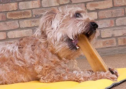Downtown Pet Supply Yak Cheese Himalayan Dog Chews - Regular Yak Chews Rich in Nutrients for Small to Medium Dogs - Long Lasting, Odorless and Easy to Digest Cheese Dog Treats - 0.5 LB