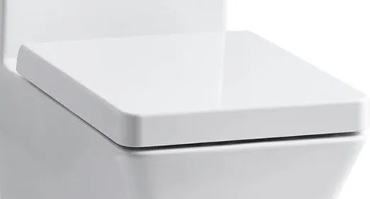 Reve Elongated Toilet Seat with Quiet-Close Technology