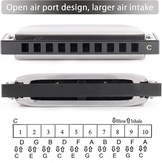 SWAN Blues C Key 10 Hole 20 Tone Diatonic Harmonica for Beginners, Stainless Steel Silver