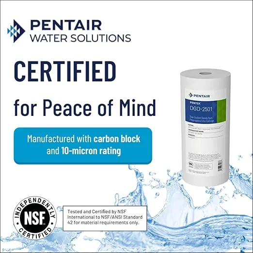 Pentair Pentek DGD-2501 Big Blue Water Filter, 10-Inch Whole House Sediment Filter Cartridge Replacement, Dual-Gradient Density Spun Polypropylene, 10" x 4.5", 1 Micron, Pack of 1